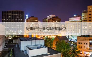 南寧振寧房地產(chǎn)概況與房地產(chǎn)銷售、策劃代理入門指南